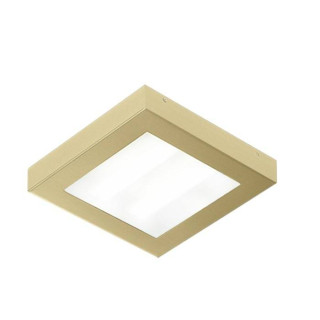 Bathroom ceiling AURORA Satina Gold 1338