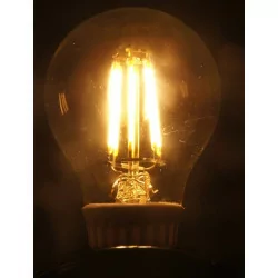 E27 LED bulb 7W filament warm white