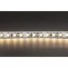 LED Strip 600 WARM WHITE Roll 5M IP20