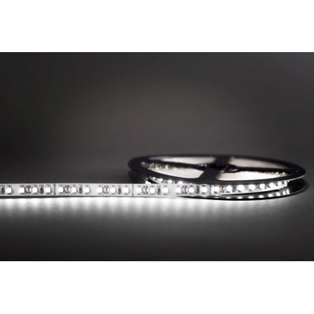 Professional LED strip 600 White Cold Roll of 5m
