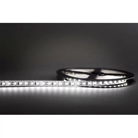 Professional LED strip 600 White Cold Roll of 5m Professional LED strip 600 White Cold Roll of 5m