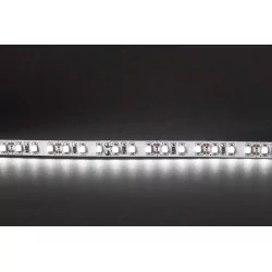 Professional LED strip 600 White Cold Roll of 5m