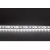 Professional LED strip 600 White Cold Roll of 5m