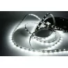 Professional LED strip 300 White Cool non-waterproof 5 m