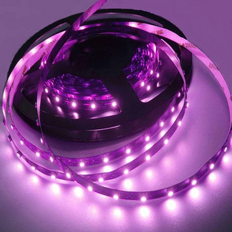 Purple LED light strips 300 SMD 5m, IP20, IP65