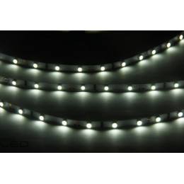 Professional LED strip 300 White Cool non-waterproof 5 m