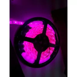 Purple LED light strips 300 SMD 5m, IP20, IP65