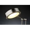 Paulmann desk light Zed LED 