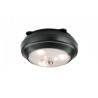 Paulmann ButtonLED cabin LED antracyt 3x1,5V AAA plastic