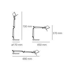 Artemide Tolomeo Tavolo Micro Gold desk lamp