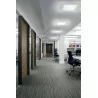 Ceiling lamp LINEA LIGHT Dublight 7489