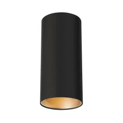 Spotline Anela 1000807 ceiling lamp with LED 10W