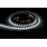 Tape LED 300 SMD5050 Cool White 5m not waterproof 10mm