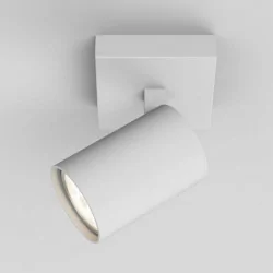 ASTRO ASCOLI Single white, brown, nickel