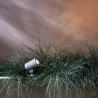 ASTRO BAYVILLE SPIKE SPOT 12V small spotlight with adjustable head