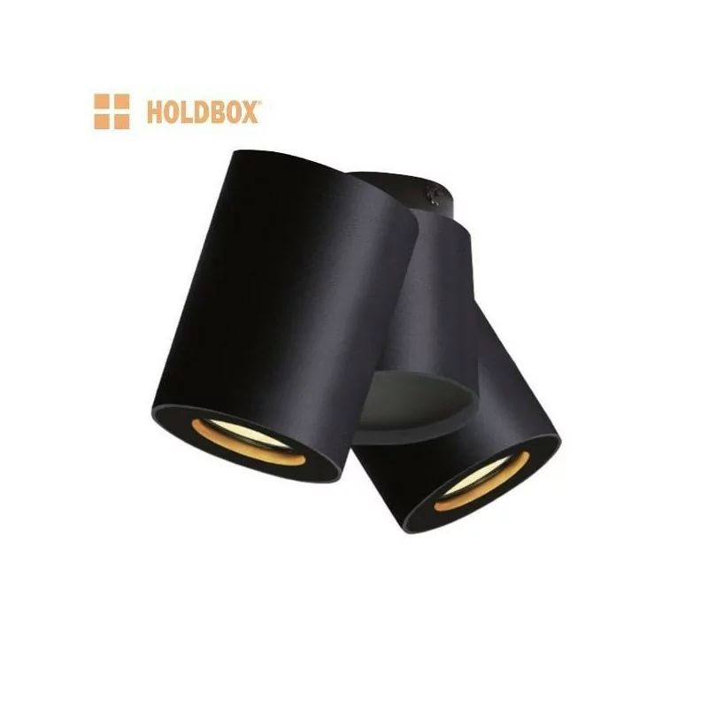 HOLDBOX BARI 2 ceiling lamp 2xGU10