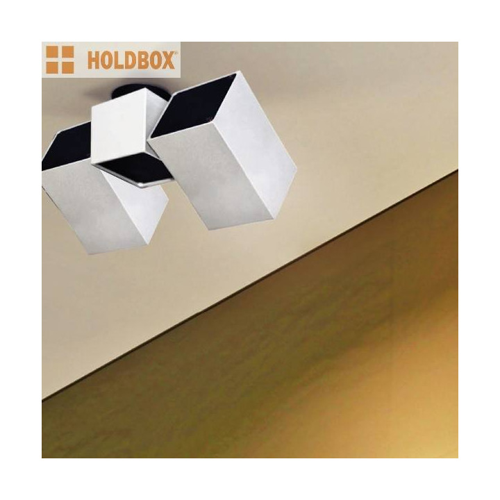 HOLDBOX VASTO ceiling 2 lampa natynkowa GU10