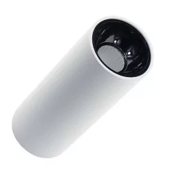 AUHILON ALX F1009-BIAŁA Plafon