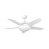 Ceiling fan with LED lighting Fantasia NEPTUNE