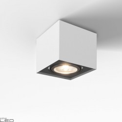 Cleoni ALPINA T136A1 Ceiling lamp