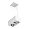 Cleoni ALPINA T136B2 Hanging lamp