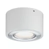 Paulmann Argun Ceiling light 1x4,8W