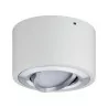 Paulmann Argun Ceiling light 1x4,8W