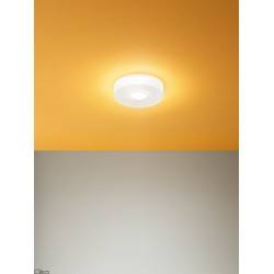 Ceiling lamp LINEA LIGHT ONE TO ONE 7619