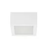 LINEA LIGHT BOX SQ 8227/9 biały plafon LED 11cm, 25cm, 41cm, 50cm