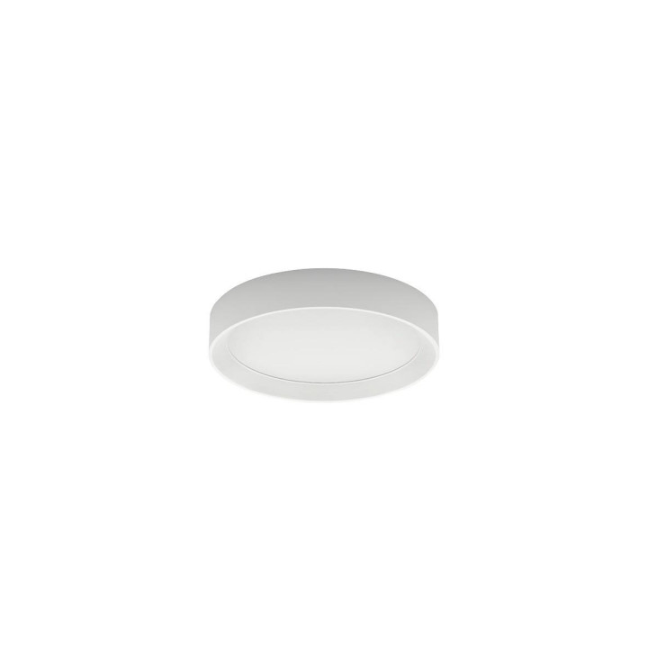 LINEA LIGHT TARA R 8334 surface LED 31cm, 41cm, 50cm