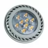 LEDECCO AKME SPOT LED ES111 15W