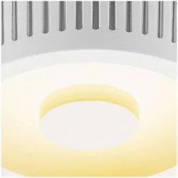 SLV OCCULDAS 13 117351 ceiling light LED 15W white