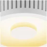 SLV OCCULDAS 13 117351 ceiling light LED 15W white