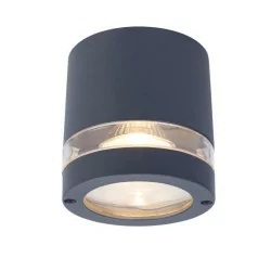 LUTEC FOCUS Outdoor ceiling lamp