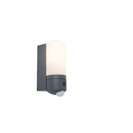 LUTEC POLLUX Outdoor wall lamp with motion sensor