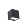 LUTEC GEMINI outdoor wall lamp