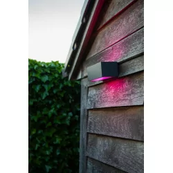 LUTEC GEMINI Wiz Connected outdoor wall lamp