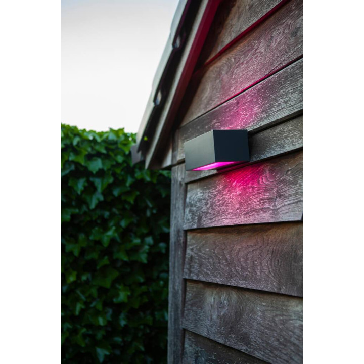 LUTEC GEMINI Wiz Connected outdoor wall lamp