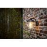 LUTEC CATE outdoor wall lamp