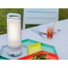 LUTEC DRAGONFLY Outdoor solar lamp