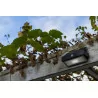 LUTEC ARROW Outdoor wall lamp with motion sensor