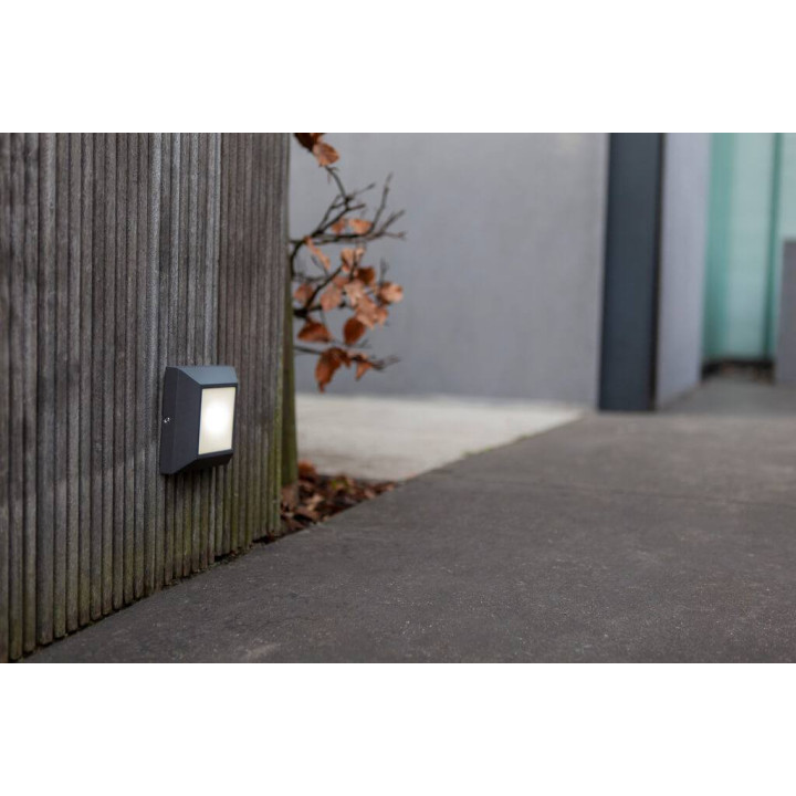LUTEC HELENA outdoor wall lamp