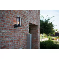 LUTEC FLAIR Outdoor wall lamp