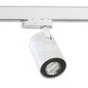 CLEONI Gabi T085L6Th Track luminaire