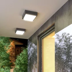 REDLUX Delta 145, 215 Outdoor wall and ceiling lamp