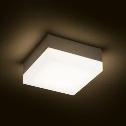 REDLUX Spectacle LED outdoor ceiling lamp