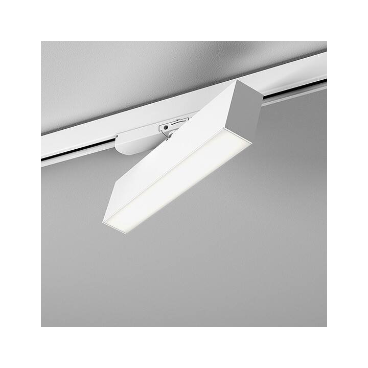 AQFORM RAFTER LED track lampa do szyn 3F