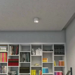 Redlux KELLY Dimm LED ceiling lamp