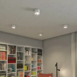 Redlux KELLY Dimm LED ceiling lamp