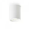 Redlux Coles Ceiling lamp GU10